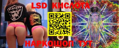 стафф Гусев
