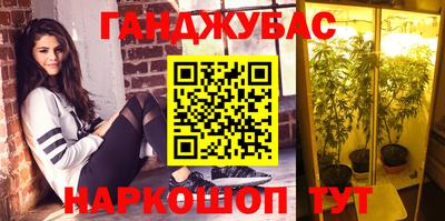стафф Гусев