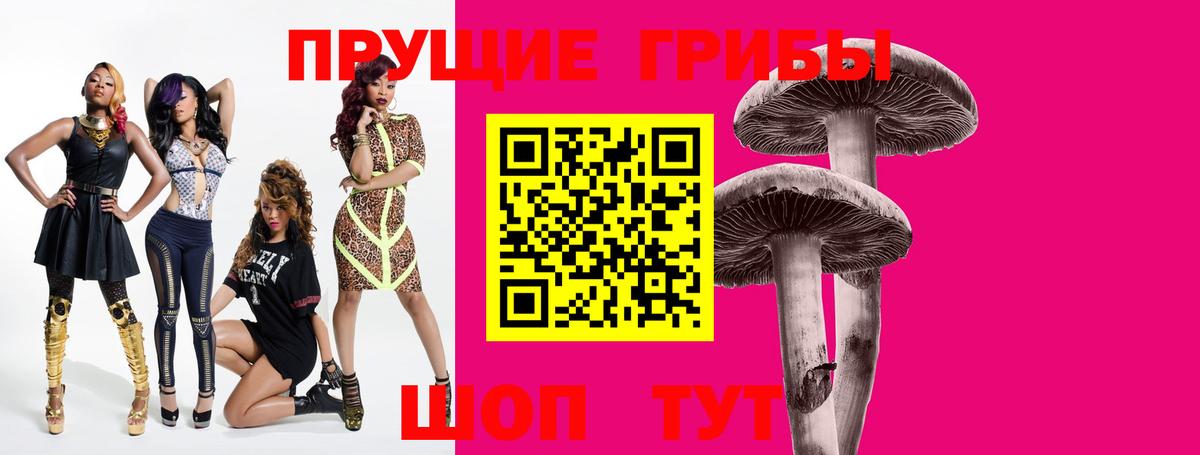 Псилоцибиновые грибы Psilocybine cubensis  Псилоцибиновые грибы GOLDEN TEACHER  Коломна  Вход с VPN 